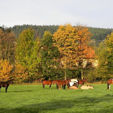 Hotel Lidmiluv Mlyn Sadek Zewnętrze zdjęcie