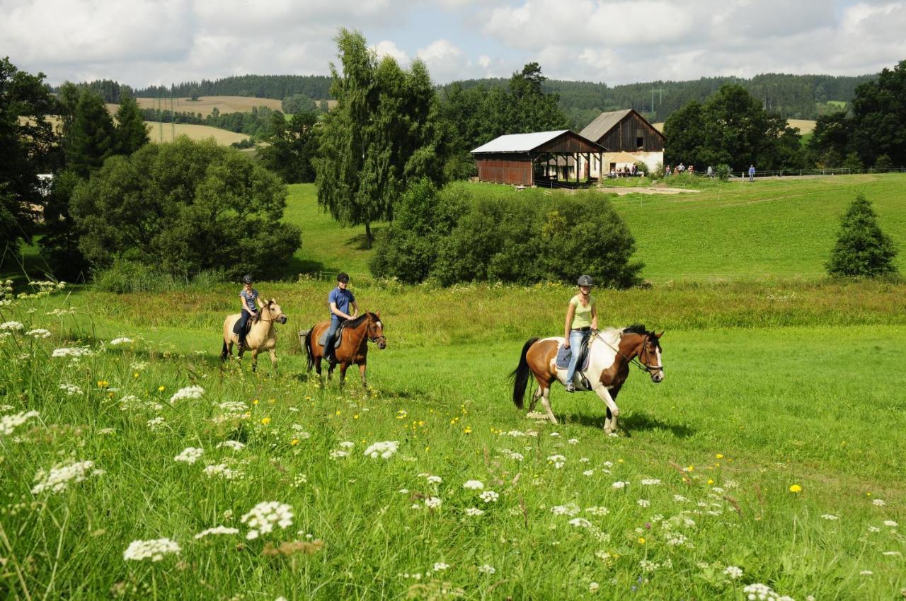 Hotel Lidmiluv Mlyn Sadek Zewnętrze zdjęcie