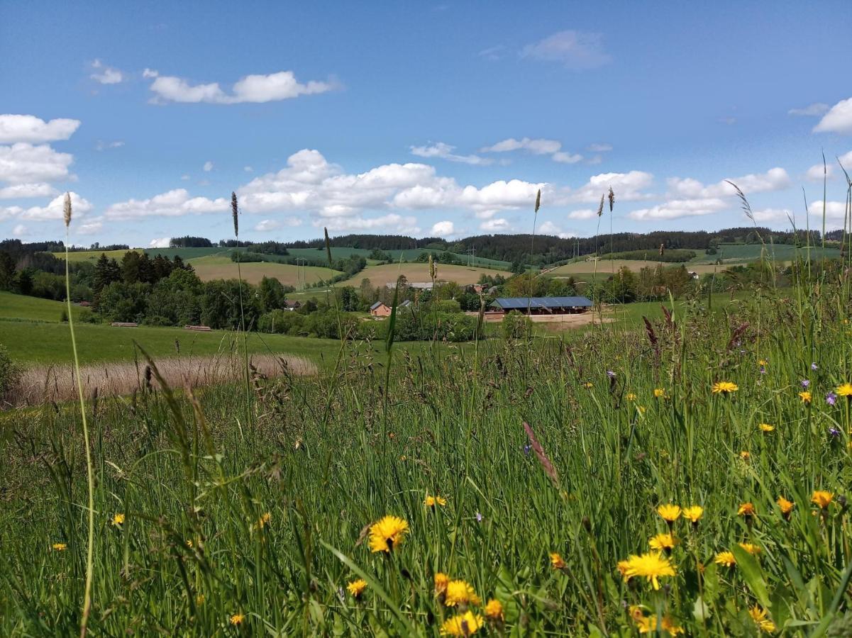 Hotel Lidmiluv Mlyn Sadek Zewnętrze zdjęcie