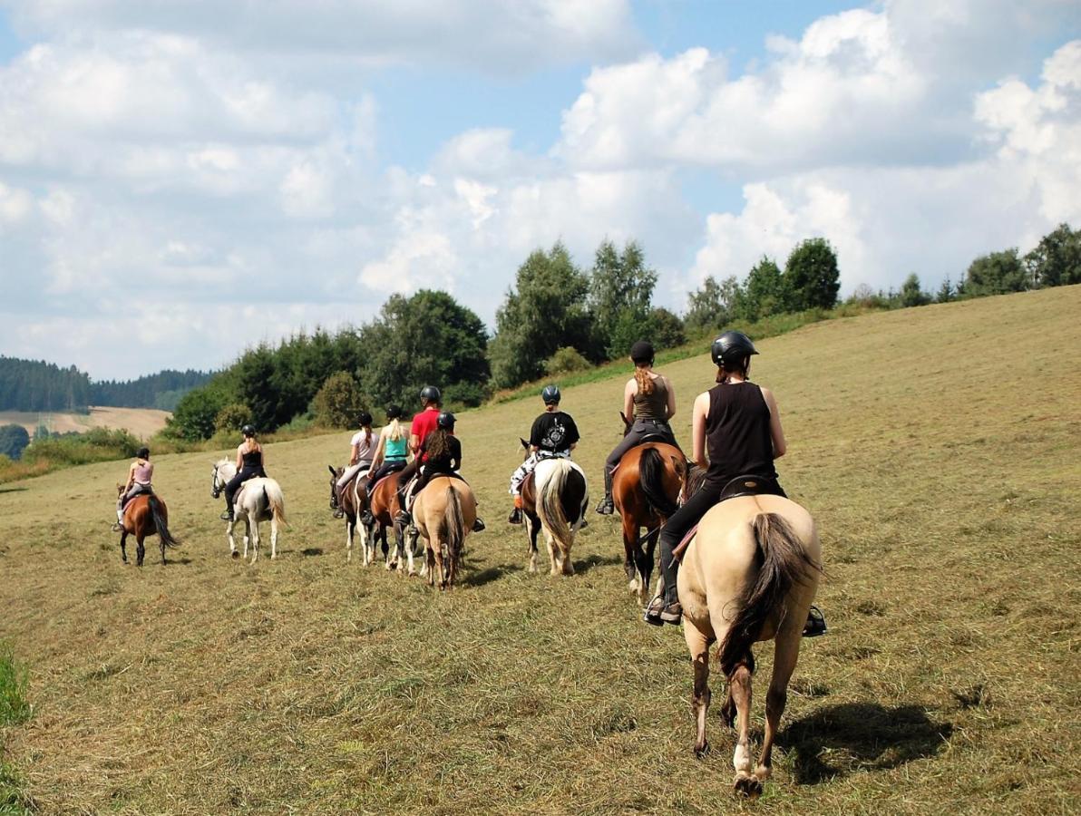 Hotel Lidmiluv Mlyn Sadek Zewnętrze zdjęcie