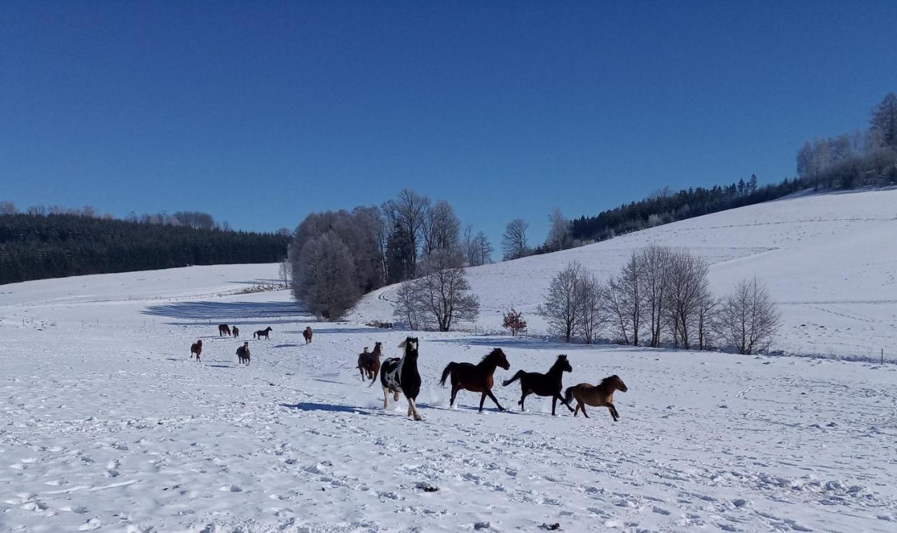 Hotel Lidmiluv Mlyn Sadek Zewnętrze zdjęcie